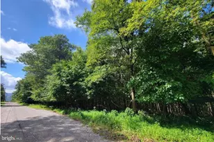 247 Whitetail Rd, Tamaqua, PA 18252 - Photo 10