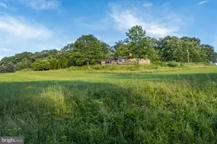 204 Ridge Cup Rd, New Ringgold, PA 17960 - Photo 66
