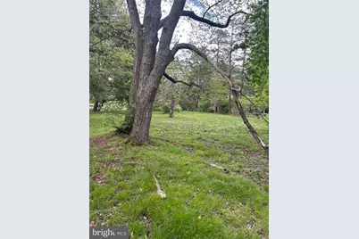 228 Laurel Rd., Orwigsburg, PA 17961 - Photo 6