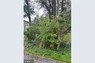 228 Laurel Rd., Orwigsburg, PA 17961 - Photo 4