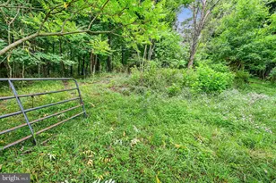 15 Rock Rd, Pine Grove, PA 17963 - Photo 42
