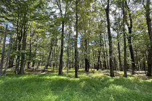 116 Spring Mountain Dr, Zion Grove, PA 17985 - Photo 1