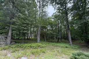 536 Hay Stack Dr, Zion Grove, PA 17985 - Photo 1