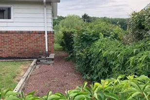 424 Minersville St, Seltzer, PA 17974 - Photo 4