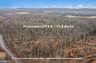 Lot 9 Back Road S, Barnesville, PA 18214 - Photo 1
