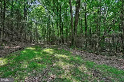 0 Moyers Station Road, Schuylkill Haven, PA 17972 - Photo 12