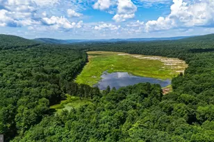 3 Deer Trail Ln, Nesquehoning, PA 18240 - Photo 26