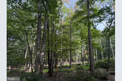 376 Davos Circle, Zion Grove, PA 17985 - Photo 1