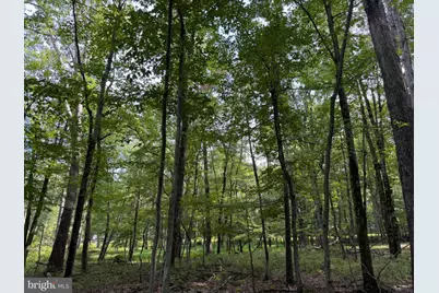 442 Haystack Drive, Zion Grove, PA 17985 - Photo 2