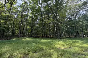 403 Davos Cir, Zion Grove, PA 17985 - Photo 1