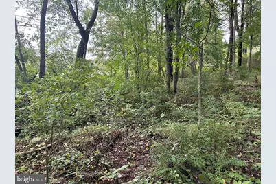 0 Centre Turnpike, Orwigsburg, PA 17961 - Photo 2