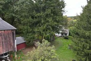 809 Clamtown Rd, New Ringgold, PA 17960 - Photo 64