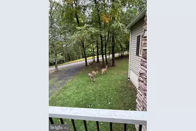 322 N Spring Mountain Drive, Zion Grove, PA 17985 - Photo 28