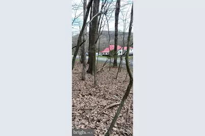 1243 Shaffer Mountain Road, Cairnbrook, PA 15924 - Photo 62