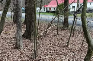 1243 Shaffer Mountain Rd, Cairnbrook, PA 15924 - Photo 62