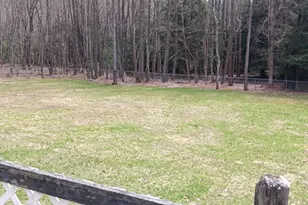 1243 Shaffer Mountain Rd, Cairnbrook, PA 15924 - Photo 6