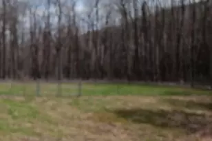 1243 Shaffer Mountain Rd, Cairnbrook, PA 15924 - Photo 8