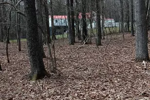 1243 Shaffer Mountain Rd, Cairnbrook, PA 15924 - Photo 20