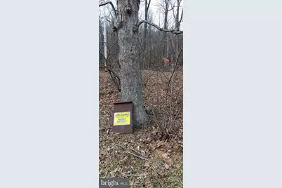 1243 Shaffer Mountain Road, Cairnbrook, PA 15924 - Photo 14