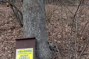 1243 Shaffer Mountain Rd, Cairnbrook, PA 15924 - Photo 14