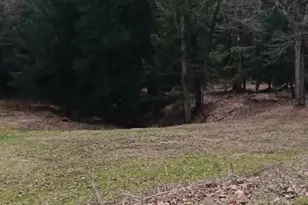 1243 Shaffer Mountain Rd, Cairnbrook, PA 15924 - Photo 12