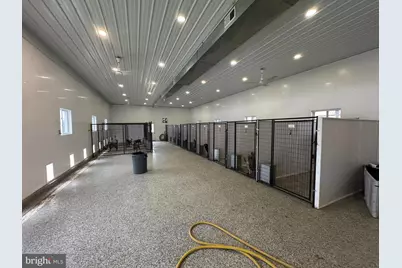 260+/- Acres At 2175 Brotherton Road, Berlin, PA 15530 - Photo 44