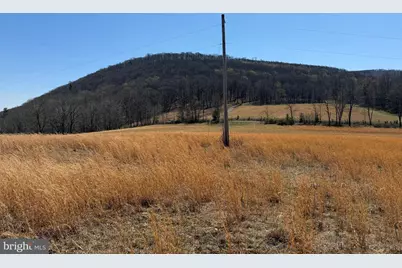 Tract 1: 87+/- Acres Tooland Rd, Fairhope, PA 15538 - Photo 18