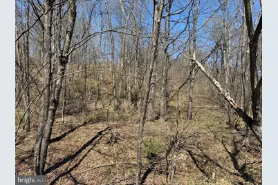 Tract 1: 87+/- Acres Tooland Rd, Fairhope, PA 15538 - Photo 36