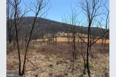 Tract 1: 87+/- Acres Tooland Rd, Fairhope, PA 15538 - Photo 22