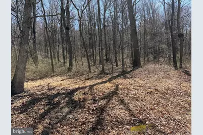 Tract 2: 40+/- Acres Off Of Tooland Rd, Fairhope, PA 15538 - Photo 44