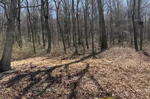Tract 2: 40+/- Acres Off Of Tooland Rd, Fairhope, PA 15538 - Photo 44