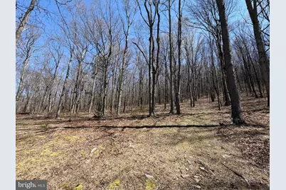 Tract 2: 40+/- Acres Off Of Tooland Rd, Fairhope, PA 15538 - Photo 60