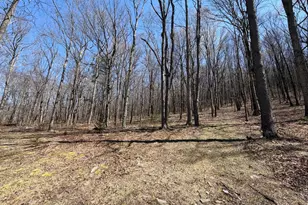Tract 2: 40+/- Acres Off Of Tooland Rd, Fairhope, PA 15538 - Photo 60
