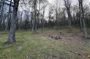 Tract 2: 40+/- Acres Off Of Tooland Rd, Fairhope, PA 15538 - Photo 26