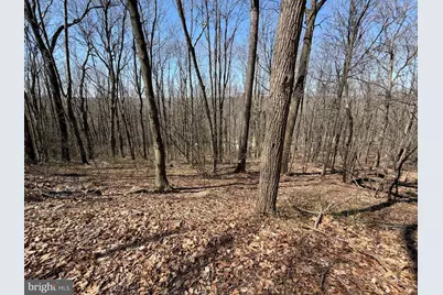 Tract 2: 40+/- Acres Off Of Tooland Rd, Fairhope, PA 15538 - Photo 64
