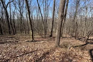 Tract 2: 40+/- Acres Off Of Tooland Rd, Fairhope, PA 15538 - Photo 64