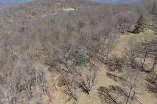 Tract 2: 40+/- Acres Off Of Tooland Rd, Fairhope, PA 15538 - Photo 6