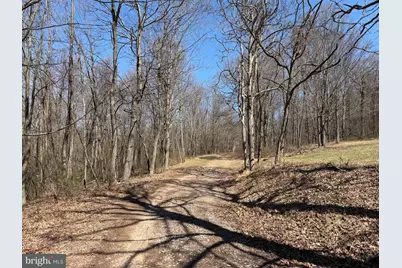Tract 2: 40+/- Acres Off Of Tooland Rd, Fairhope, PA 15538 - Photo 74
