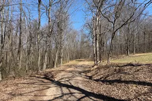 Tract 2: 40+/- Acres Off Of Tooland Rd, Fairhope, PA 15538 - Photo 74