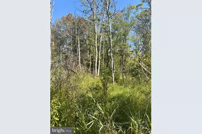 1362 Coleman Station Road, Friedens, PA 15541 - Photo 24
