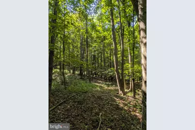 6658 Cumberland Highway, Hyndman, PA 15545 - Photo 24