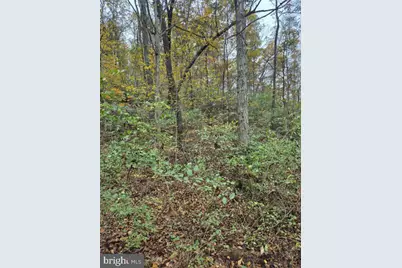 139 Rainbow Drive, Middleburg, PA 17842 - Photo 48
