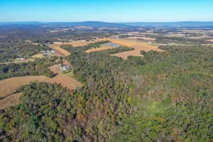 139 Rainbow Dr, Middleburg, PA 17842 - Photo 4