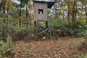 139 Rainbow Dr, Middleburg, PA 17842 - Photo 50