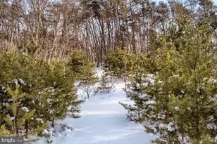 435 Neitz Valley Rd, Selinsgrove, PA 17870 - Photo 12