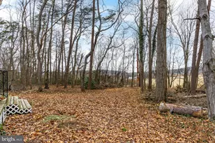 169 Pine Ln, Selinsgrove, PA 17870 - Photo 4