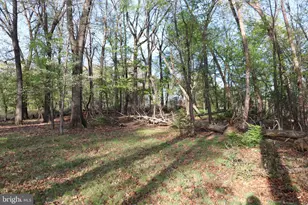 620 Stonebridge Dr, Selinsgrove, PA 17870 - Photo 126
