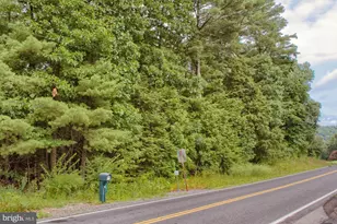 Parcel 01-03-021 Route 235, Beavertown, PA 17813 - Photo 1