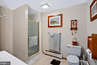 113 10th Avenue, Shamokin Dam, PA 17876 - Photo 32