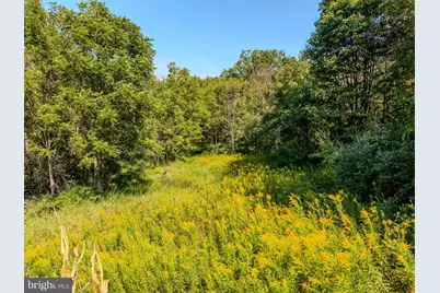 751 Bergey Road, Middleburg, PA 17842 - Photo 16